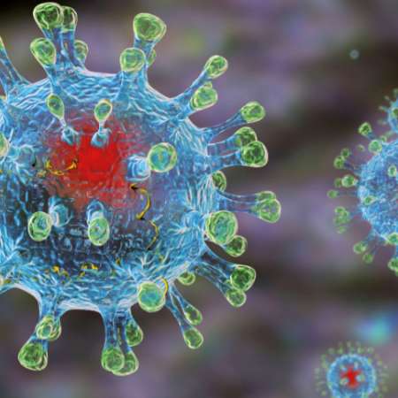 «Горячая линия»  по недопущению распространения  новой коронавирусной инфекции
