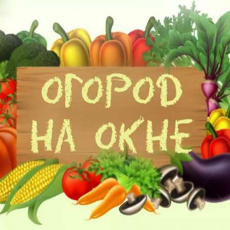 Огородные приключения «Колобков»: выращиваем лето на подоконнике!