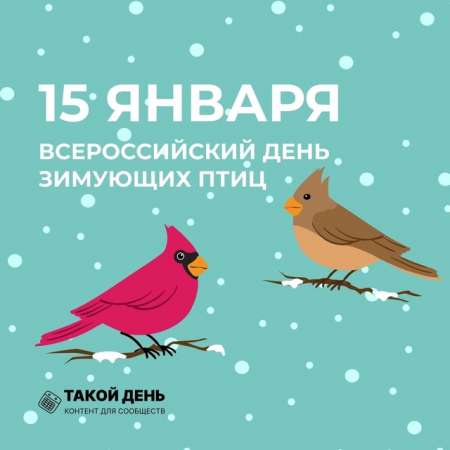 15 января Всероссийский день зимующих птиц